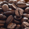 caffe qualita' palermo