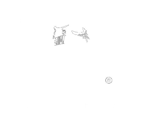 caffe pregiati in cialde e capsule